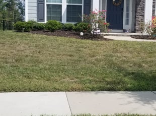 Weeding by David Montanez for Danny O. in Huntersville, NC
