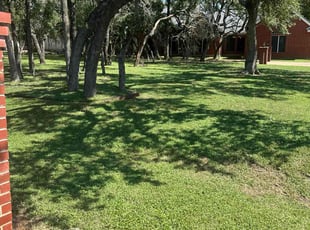 Joy C.'s Grass Cutting service result