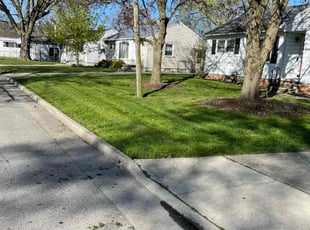 Antoinette D.'s Lawn Mowing service result