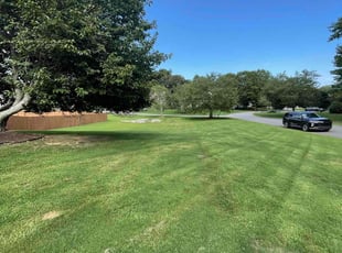 Shiran K.'s Lawn Mowing service result