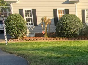 Bush Trimming by Evan July for YONRAWEE P. in Richmond, VA