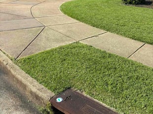 Mariah G.'s Grass Cutting service result
