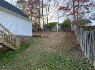Leaf Removal by Chris Thomas for Taylor H. in Richmond, VA