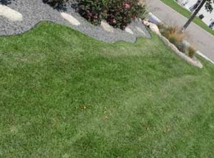 abdi i.'s Lawn Maintenance service result