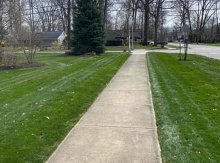 Leaf Removal by Tefel Rivera for Jana R. in Bay Village, OH