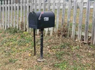 Leaf Removal by Jose Gonzalez for Jacob N. in Capitol Heights, MD