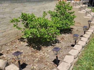 Cleanups by Eduardo Flores for Christopher S. in Tinley Park, IL