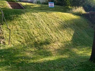 Emily D.'s Lawn Care service result