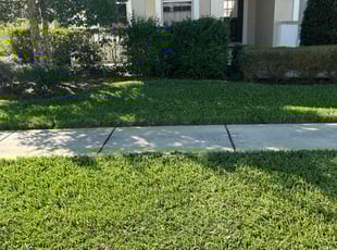 Mike K.'s Lawn Care service result