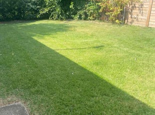 Benjamin M.'s Yard Cutting service result