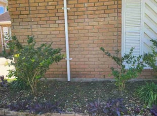 Weeding by Briana Rivera for Javier V. in Richmond, TX