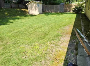 Monic B.'s Lawn Care service result