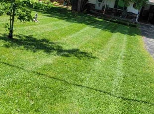 Kenneth B.'s Lawn Maintenance service result