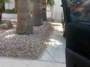 Leaf Removal by Vicki Ewell for Bryant R. in Glendale, AZ