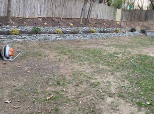 Cleanups by Angel P. for Cedric H. in Arlington, VA