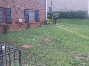 Bush Trimming by Jazzmin Earl for April . in Decatur, GA