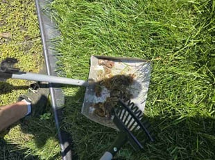 Cleanups by Kyle Yelton for Kimberly G. in Indianapolis, IN