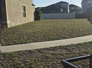 Robert E.'s Lawn Care service result