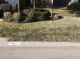 Leaf Removal by Randy Jordan for Lauren L. in Tomball, TX