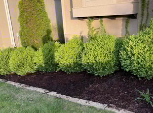 Mulching by Scott Culala for Terry W. in Olathe, KS