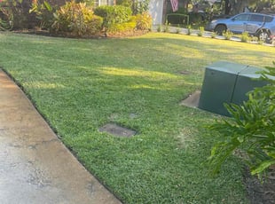 Carla B.'s Lawn Mowing service result