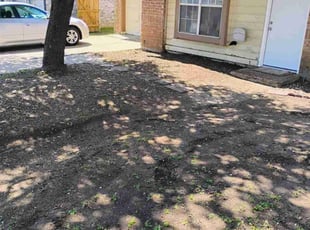 Leaf Removal by Kassandra Winters for Nathen S. in Arlington, TX