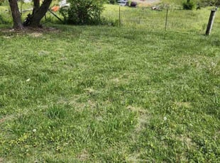 Mi J.'s Lawn Care service result