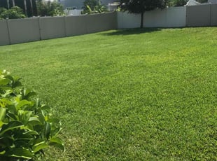Beverly H.'s Lawn Mowing service result