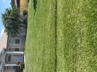Miriam R.'s Lawn Service service result
