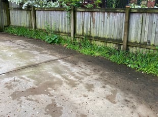 Cleanups by Angel P. for Mark R. in Falls Church, VA