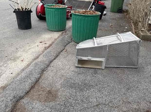 Leaf Removal by Pedro Godinez for Diana M. in Middletown, NY