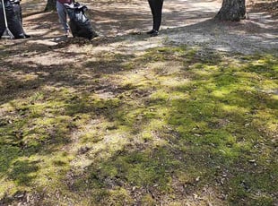 Leaf Removal by Andrew Clark for Donna J. in Fayetteville, NC