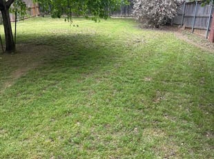 Leaf Removal by Stanislav Domashenko for Shelly P. in Fort Worth, TX