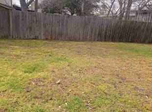 Leaf Removal by Jorge Crisóstomo for Kiara L. in Richardson, TX