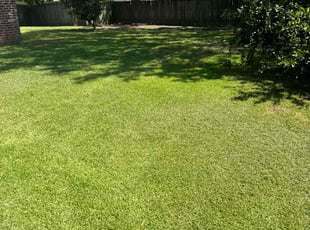 Joe M.'s Lawn Maintenance service result