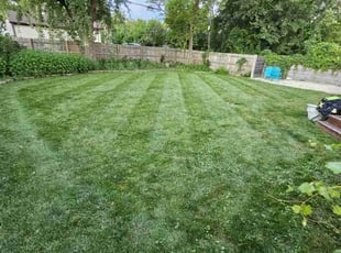 Colleen W.'s Lawn Mowing service result