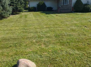 Lynn N.'s Lawn Care service result