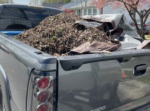Leaf Removal by Terrence Hawkins for Allen H. in Hyattsville, MD