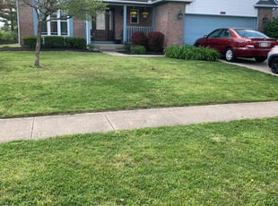 Joe z.'s Lawn Service service result