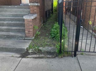 Cleanups by Terrence Wilson for Gita P. in Chicago, IL