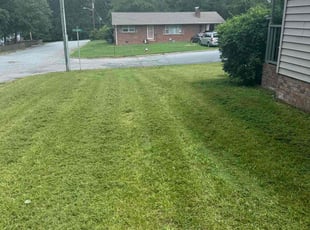 Liza S.'s Yard Cutting service result