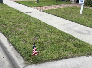 Michelle A.'s Lawn Mowing service result