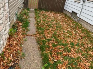 Cleanups by brett boehm for Lucie b. in Salinas, CA
