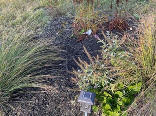 Joslyn G.'s Flower Bed Weeding service result
