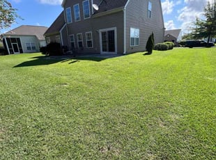 Phil B.'s Lawn Care service result