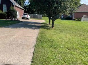 Brandon M.'s Lawn Maintenance service result