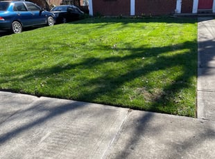 Linda C.'s Lawn Service service result