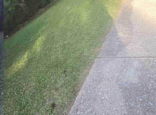 Bush Trimming by Jeremiah Favors for Mellissa F. in Jonesboro, GA