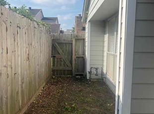 Bush Trimming by Nicole Ross for Lucia M. in Houston, TX