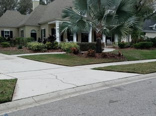 Bush Trimming by Kenneal Stewart for Amber W. in Tampa, FL